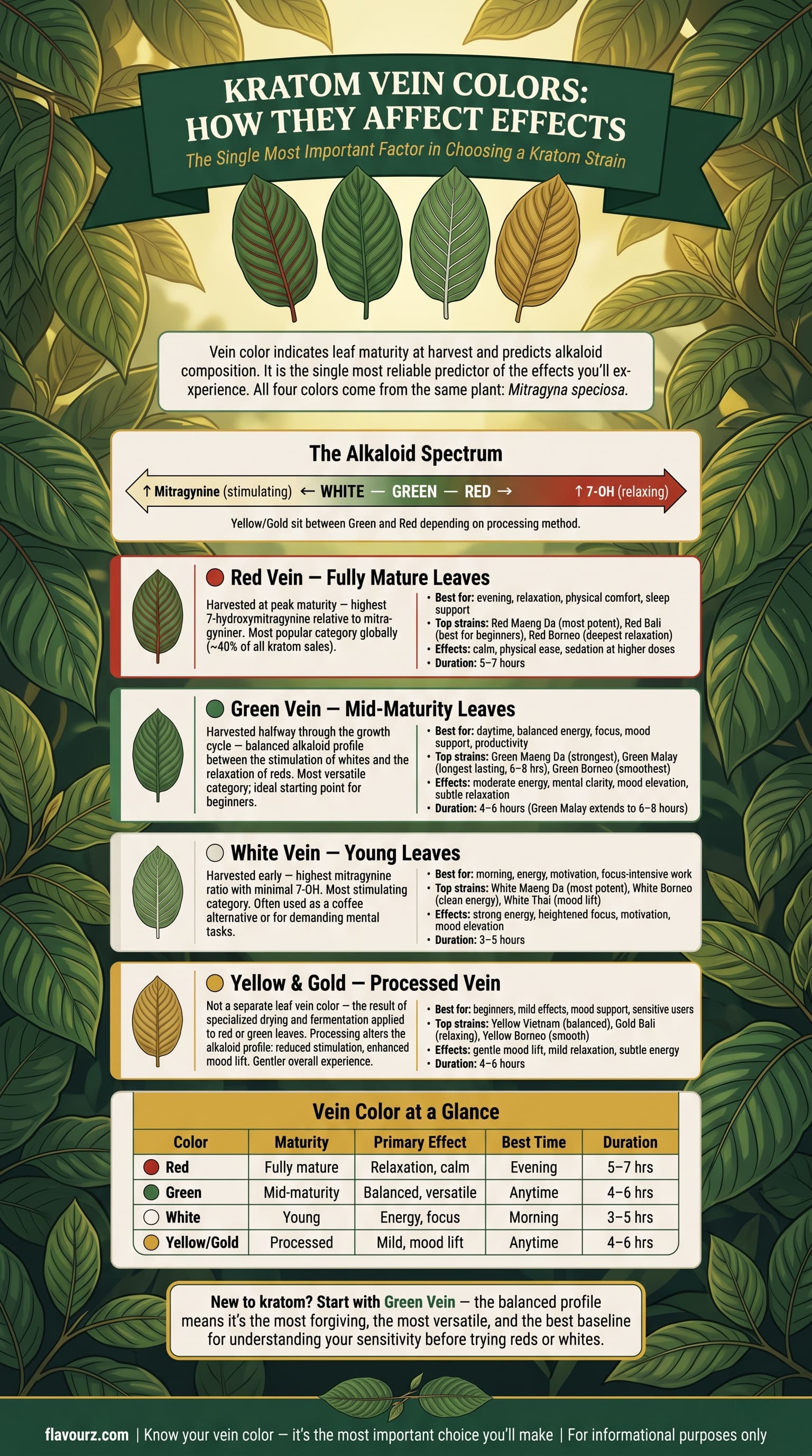 infographic for How Do Kratom Vein Colors Affect Effects